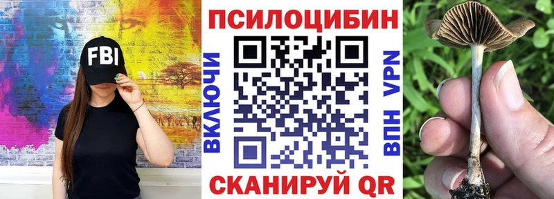 наркота  Избербаш  Галлюциногенные грибы прущие грибы 